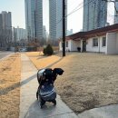 용산-209 이미지