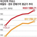 보증금 내고 필요시 이용, 준중형 하루 5만원 사용료…'카 셰어링' 업체 인기 만점 이미지