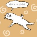 화장실 배수구 트랩 질문 있어요ㅠㅠ(더러움 주의) 이미지