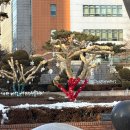 유경농장 | 지금의 모든 행복을 저스트 필링하도록