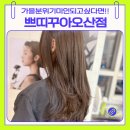 오산 | 오산 미용실 쁘띠꾸아오산점 전체 염색 후기