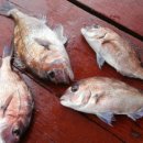 가배장사도펜션 이미지