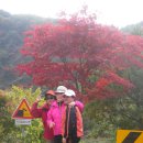 간문초교 이미지