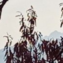사근절길 네이버블로그