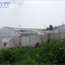 동일리-4 이미지