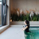 강릉스테이 이미지