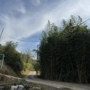 지리산 둥이네 | 하동 | 촌캉스 갬성 지리는 지리산 둥이네