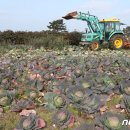 대정농업협동조합 농산물산지유통센터 이미지