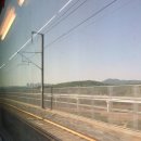 🚅 이른아침 현미쌤보러~💚 이미지