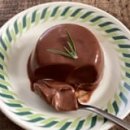 winning dog story's 이미지