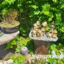 귀동농장 이미지