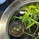 새벽숯불가든(부산점) | 부산 연산동 삼겹살 맛집 새벽숯불가든 연산역 제주 흑돼지 오겹살