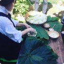 김치만선생 이미지