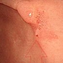 데일리연합의원 이미지