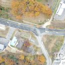 유림이네 이미지