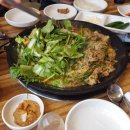 토담오리칼국수 이미지