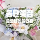 플로니플라워