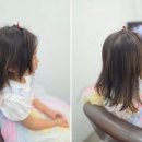 붙임머리