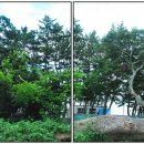 익금민박 이미지