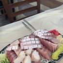 노량진수산시장 오성수산 대방어 내돈내산 후기 (초장집 또순이네, 튀김집, 노량진 해산물 시세)