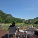 평화문구 | 충주 1박2일 여행 반려동물 동반 숙소 스테이팔봉 뷰 맛집