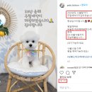룽지살롱 이미지