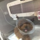 가로수동물병원 이미지