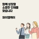 와이엠케이 이미지