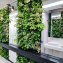 안양시청 앞 이미지