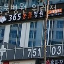 365동물병원위례점 이미지