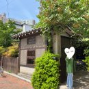 오가닉모가