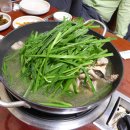 면목동 느티나무 이미지