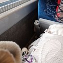 펫블리강아지&미라클고양이 | [🇨🇦] 캐나다 빅토리아 1주차 26.01.04-11