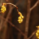 지리산털보농원 이미지