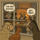 개야농장 이미지