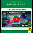 씨드랜드