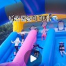 용인대 다온 태권도 이미지