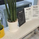 헤어로즈 | 창원 상남동 미용실 로즈헤어 염색 후기 붉은기 없는 매트 브라운 컬러