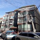 매소홀로 이미지