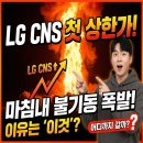 (주)씨엔에스글로벌 - 105 | LG CNS 첫 상한가, 드디어 불기둥 시작! 이유는 바로 '이것', 과연 얼마나 더 올라갈까?