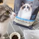 그루밍독 연구소 | 고양이 헤어볼 사료 추천 – 인디고 전연령 특허 유산균 면역 고양이 기능성 사료, 헤어볼