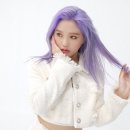 밈미미