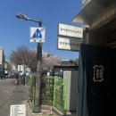 수원-0091 | 수원 행궁동 맛집 카페 정지영커피로스터즈 행궁본점 시그니처 코코넛커피와 로터스 쿠키 솔직후기