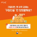 정도사