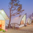 동성매점 이미지