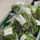 동명동행정복지센터 이미지