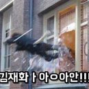 내일아침
