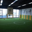 JNS 유도 체육관 이미지
