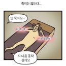 웰헬스 | 웰필라테스 안양점 | 안양 기구 필라테스 체형교정 1:6 그룹 필라테스 솔직후기