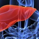 천지원헬스 이미지